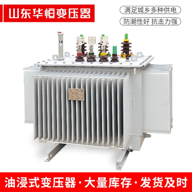 S13-10000/35濠江濠江濠江电力变压器